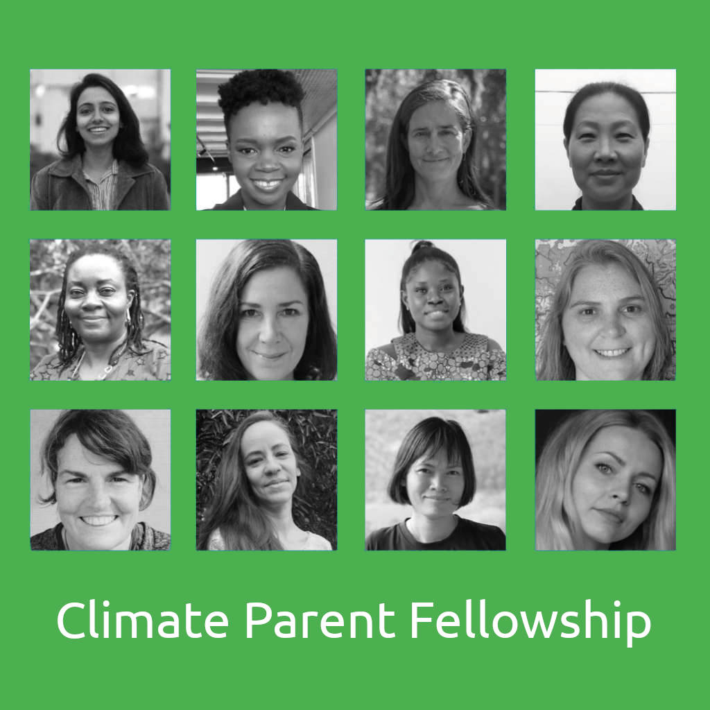 Climate Parent Fellowship - the current Fellows 